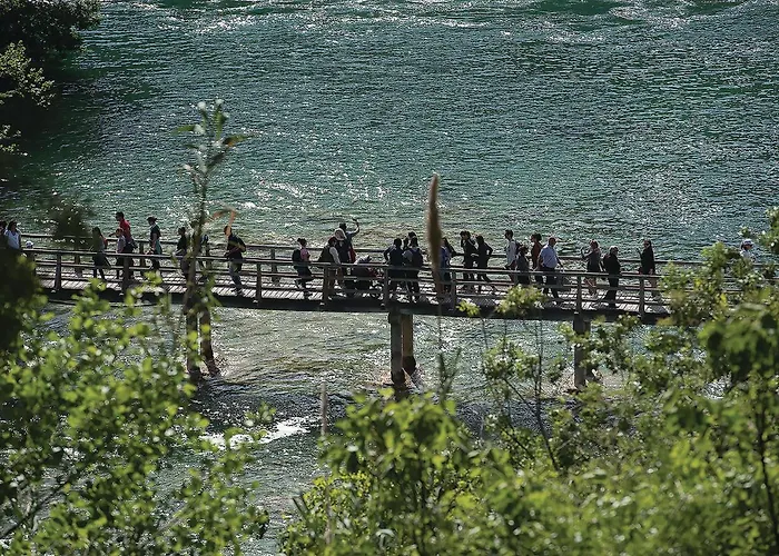 Apartman 1 Bedroom Cozy In *